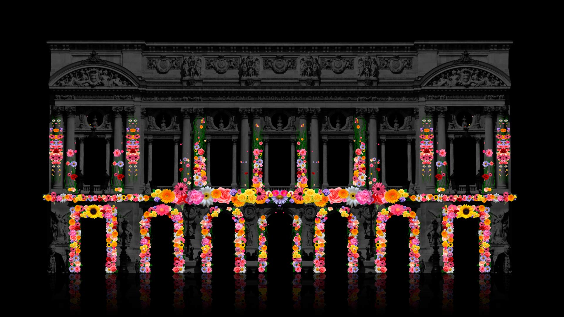 flowers animation video mapping toolkit