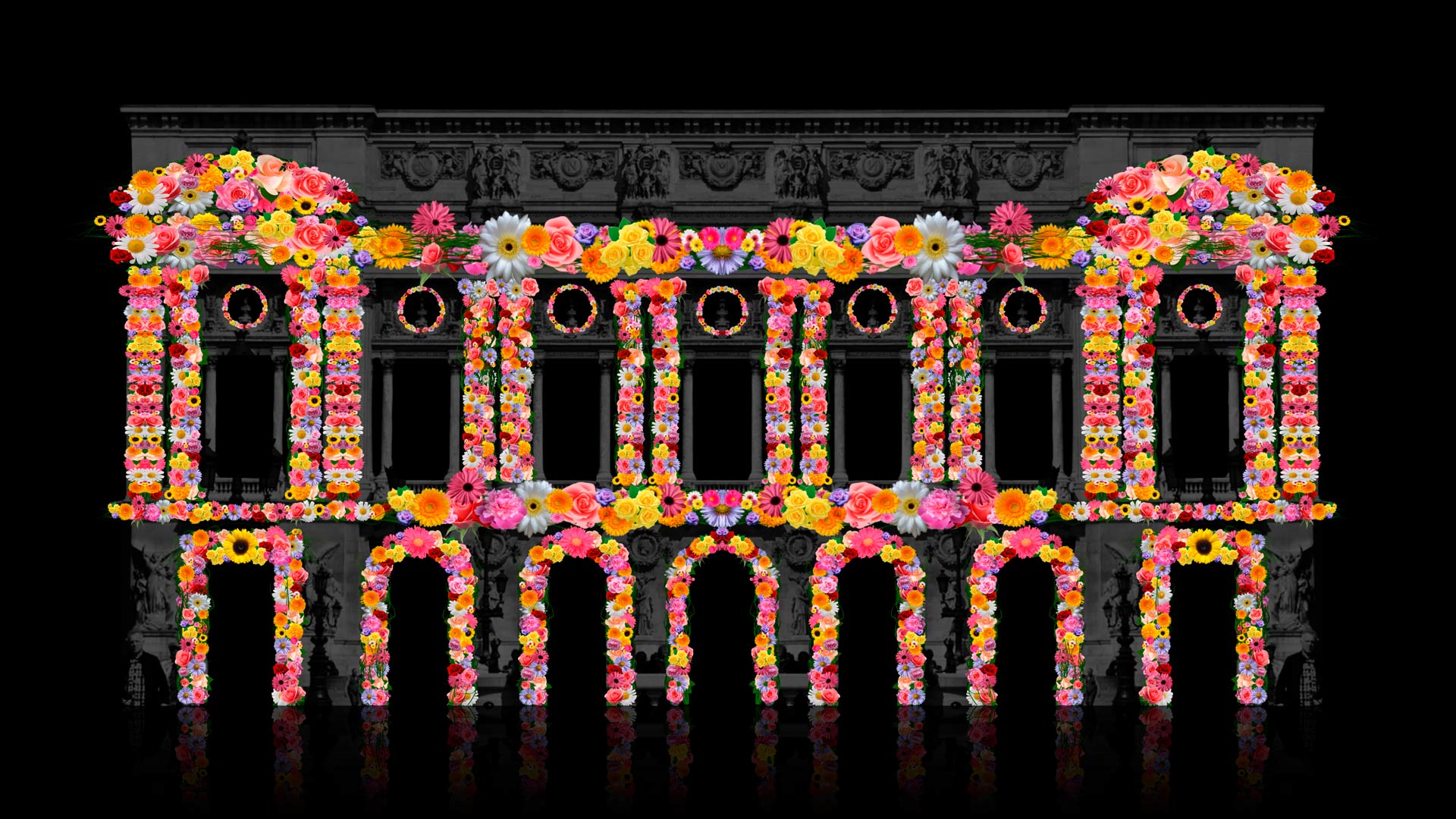 flowers animation video mapping toolkit